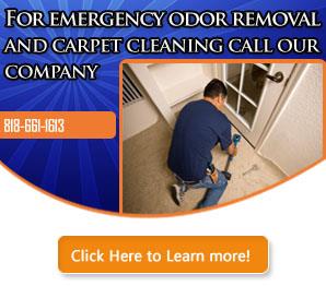 Water Damage - Carpet Cleaning Sunnyvale, CA