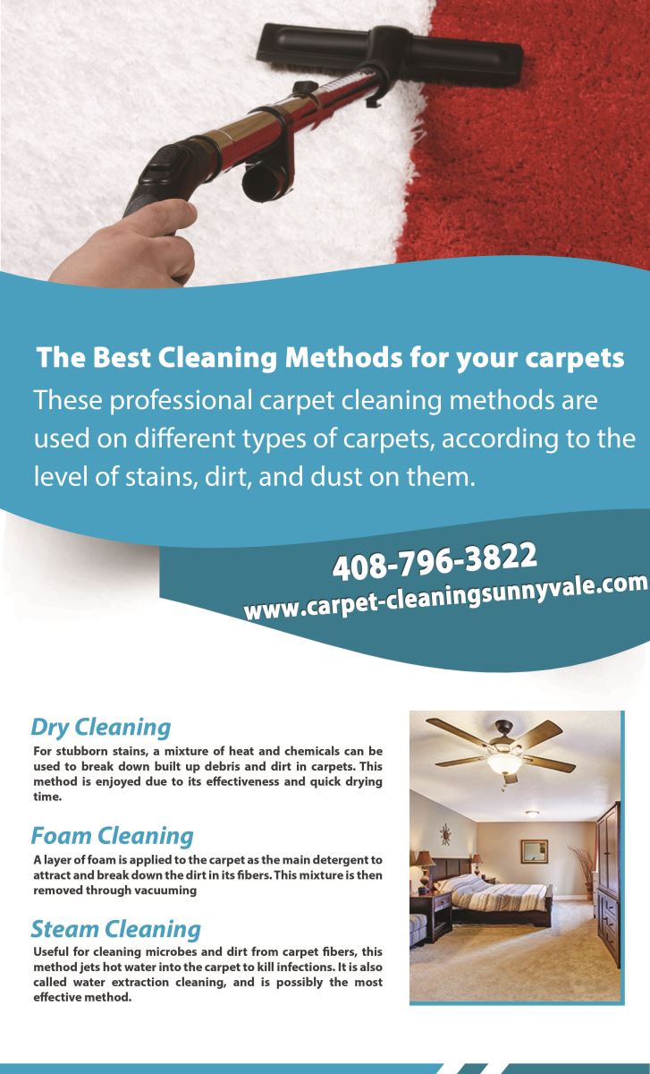 Our Infographic Carpet Cleaning Sunnyvale  