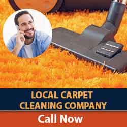 Contact Carpet Cleaning Services