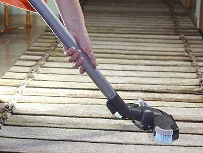 Mold Removal in Alameda